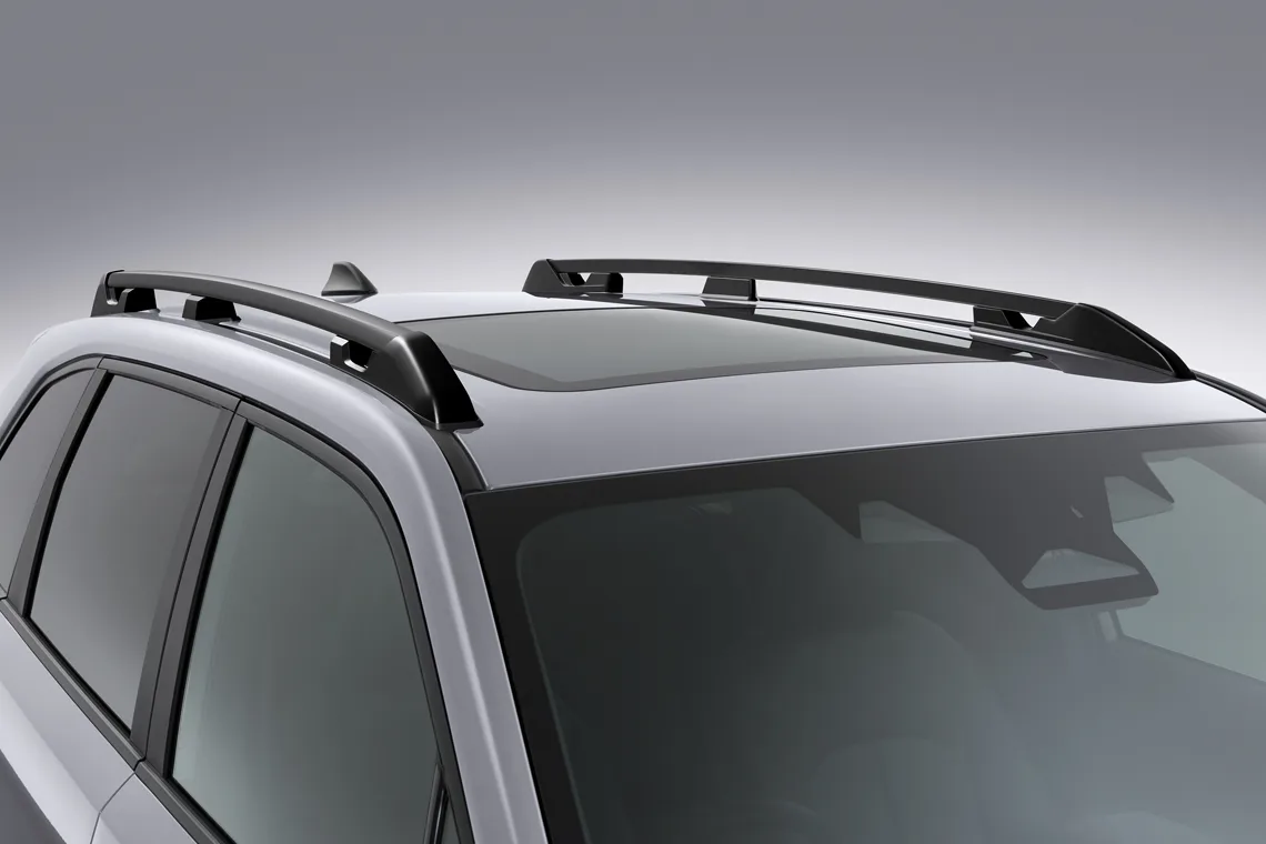Adventure-ready roof rails